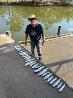 Fishing in Bon Secour, Alabama