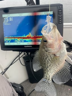 Fishing in Willis, Texas