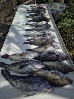 Fishing in St. Marys, Georgia