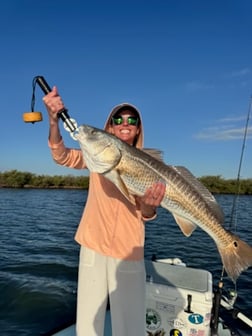 Fishing in New Smyrna Beach, Florida
