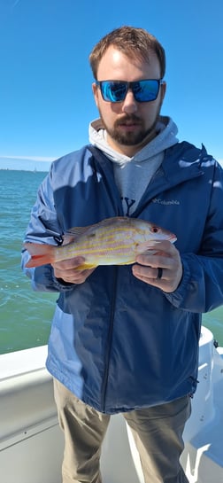Fishing in Sarasota, Florida