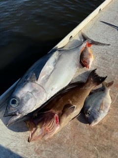 Fishing in Stuart, Florida