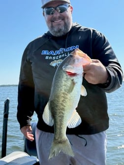 Fishing in Athens, Texas