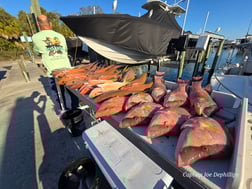 Fishing in St. Petersburg, Florida