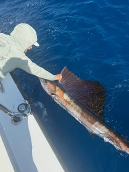 Fishing in Key West, Florida