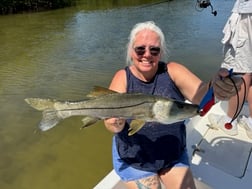 Fishing in St. Petersburg, Florida