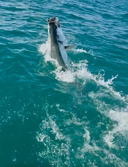 Fishing in Punta Gorda, Florida