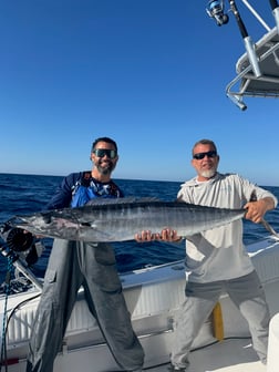 Fishing in North Miami, Florida