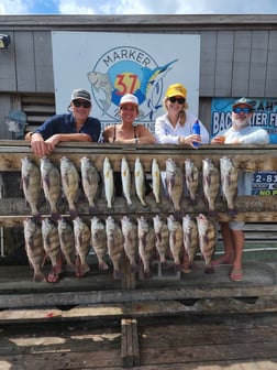Fishing in Corpus Christi, Texas