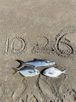 Florida Pompano, Spanish Mackerel Fishing in Melbourne Beach, Florida