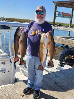 Fishing in Saint Bernard, Louisiana