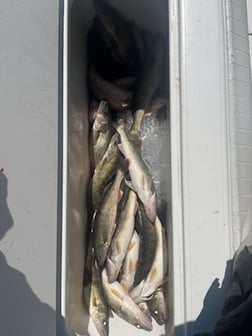 Fishing in Oak Harbor, Ohio