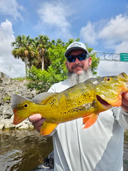 Fishing in Fort Lauderdale, Florida