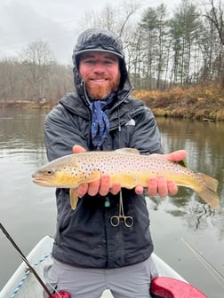 Rainbow Trout Fishing in Leicester, North Carolina