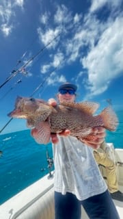 Fishing in Key West, Florida