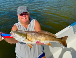 Fishing in St. Petersburg, Florida