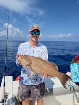 Fishing in Sarasota, Florida