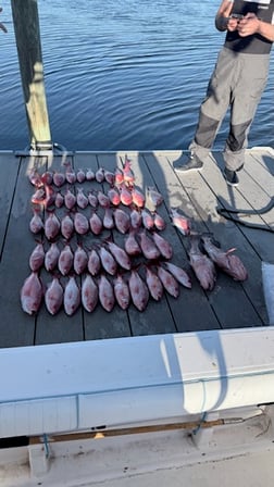 Fishing in Panama City, Florida