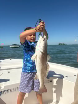 Fishing in Largo, Florida
