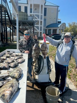 Fishing in Biloxi, Mississippi