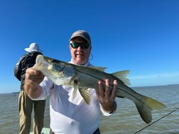 Snook Fishing in Homestead, Florida