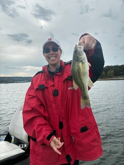 Fishing in Cape Fair, Missouri