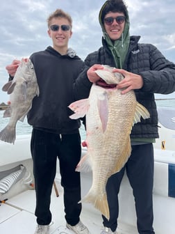 Fishing in Galveston, Texas