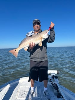 Fishing in South Padre Island, Texas