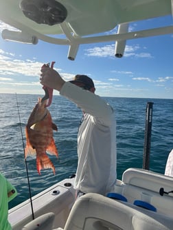 Fishing in Key Largo, Florida