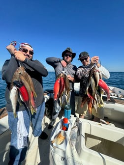 Fishing in Los Angeles, California