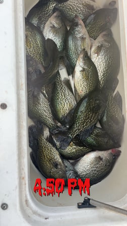 Fishing in Clewiston, Florida