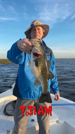 Fishing in Clewiston, Florida