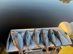 Fishing in Jupiter, Florida