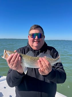Fishing in Tarpon Springs, Florida