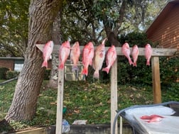 Fishing in Fort Walton Beach, Florida