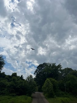 Fishing in Heber Springs, Arkansas