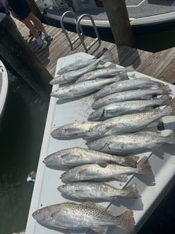 Fishing in Marco Island, Florida
