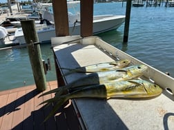 Fishing in Jupiter, Florida