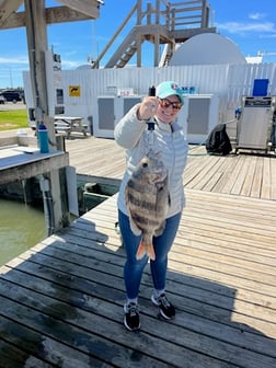 Fishing in Theodore, Alabama