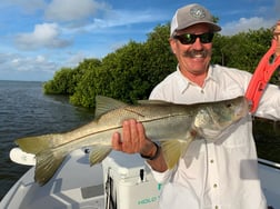 Snook Fishing in Key Largo, Florida