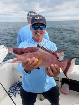 Fishing in Sarasota, Florida