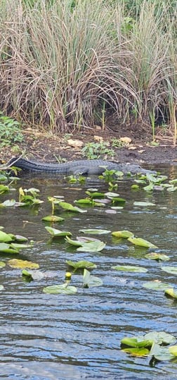 Fishing in Delray Beach, Florida