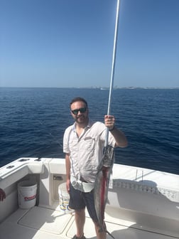 Fishing in Riviera Beach, Florida