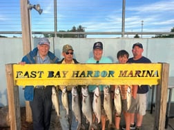 Fishing in Williamsburg, Michigan