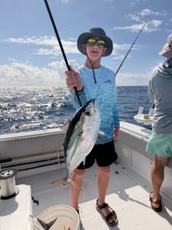 Fishing in Marathon, Florida