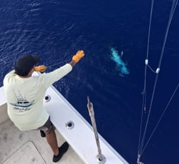Fishing in Kailua-Kona, Hawaii
