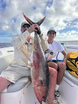 Fishing in Palmas del Mar, Puerto Rico