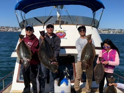 Bluefin Tuna Fishing in San Diego, California
