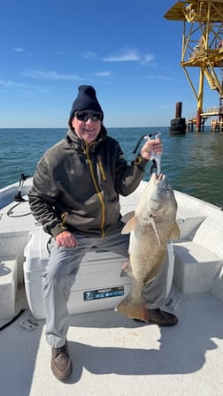 Fishing in Gulf Shores, Alabama