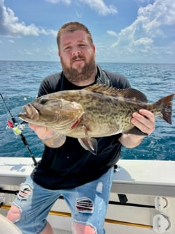 Fishing in Morehead City, North Carolina